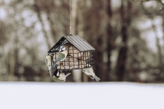 Wildlife_Garden_WG3343_SuetBallFeederCottage_Black_Lifestyle-16