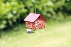 Wildlife_Garden_WG346_PeanutFeeder_Cottage_Red_Env_HighRes