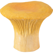 WG4760_CabinetKnobs_Chanterelle_Angle