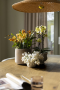 ORCHIDS-INFO_LENTE-HERFSTSHOOT26-11