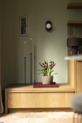 ORCHIDS-INFO_LENTE-HERFSTSHOOT26-48