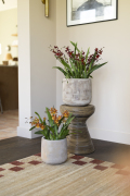 ORCHIDS-INFO_LENTE-HERFSTSHOOT26-84