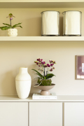 ORCHIDS-INFO_LENTE-HERFSTSHOOT26-85