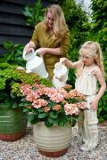 hortensia tuinhortensia hydrangea garden outside tuin model moeder dochter mother daughter kid child kind care verzorging gieter 2024 shoot mei 2023 tbv 2024