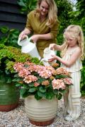 hortensia tuinhortensia hydrangea garden outside tuin model moeder dochter mother daughter kid child kind care verzorging gieter 2024 shoot mei 2023 tbv 2024
