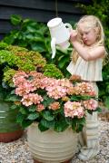 hortensia tuinhortensia hydrangea garden outside tuin model meisje girl kid child kind care verzorging gieter 2024 shoot mei 2023 tbv 2024