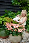 hortensia tuinhortensia hydrangea garden outside tuin model meisje girl kid child kind care verzorging gieter 2024 shoot mei 2023 tbv 2024