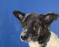Nina Lang Portraits - Tierportraits