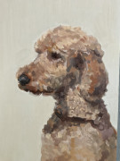 Nina-Lang-Portraits_Hundeportraits20230522_0978