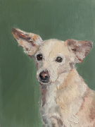 Nina-Lang-Portraits_Hundeportraits20240129_0977