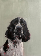 Nina-Lang-Portraits_Hundeportraits20240327_0966