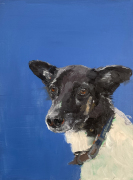 Nina-Lang-Portraits_Hundeportraits20240327_0968