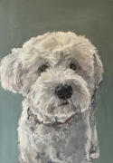 Nina-Lang-Portraits_Hundeportraits20240915_0967