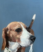 Nina-Lang-Portraits_Hundeportraits20251119_0972