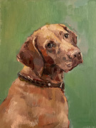 Nina-Lang-Portraits_Hundeportraits20251207_0973