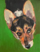 Nina-Lang-Portraits_Hundeportraits20251215_0974