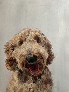 Nina-Lang-Portraits_Hundeportraits20260126_0975