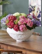2023, hortensia, kamer hortensia, multi