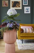 2023, hortensia, kamer hortensia,  solo, blauw