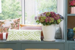 2023, hortensia, kamer hortensia, multi, paars, blauw, lila