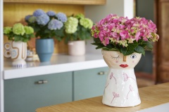 2023, hortensia, kamer hortensia, roze, blauw, wit, groen, multi