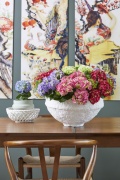 2023, hortensia, kamer hortensia,