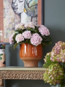 2023, hortensia, kamer hortensia, roze, solo