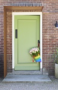 tuin hortensia, zomer, 2023, pride, regenboog,  roze