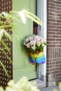 tuin hortensia, zomer, 2023, pride, regenboog,  roze