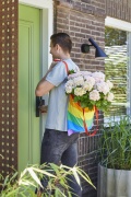 tuin hortensia, zomer, 2023, pride, regenboog, model, roze