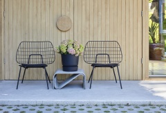 tuin hortensia, zomer, 2023, roze, groen