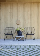 tuin hortensia, zomer, 2023, roze, groen