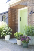 tuin hortensia, zomer, 2023, paniculata, mix, wit, groen, paars