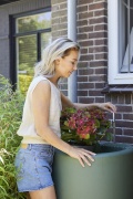 tuin hortensia, zomer, 2023, model, tuinieren, rood, groen
