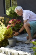 tuin hortensia, zomer, 2023, model, tuinieren, man