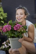 tuin hortensia, zomer, 2023, model, tuinieren, vrouw, roze