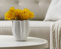 Vasen News und iF Design Award 2026