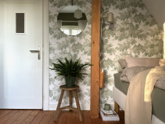 AIRSOPURE_Nephrolepsis_Foto_Jessica_Haas_IMG_7521