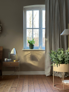 AIRSOPURE_Phlebodium_Foto_Jessica_Haas_IMG_7585