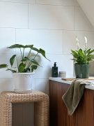 AIRSOPURE_Spathiphyllum_Monstera_Foto_Jessica_Haas_IMG_7799