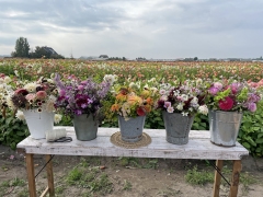 FAM_flower_farm_Blumenstrauesse