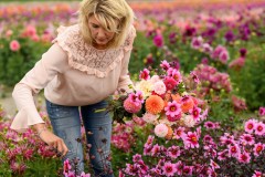 FAM_flower_farm_Linda_pfueckt_dahlien