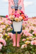 FAM_flower_farm_dahlias