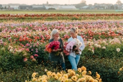 FAM_flower_farm_dahlias_Marlies_Linda_01