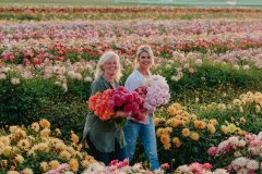 FAM_flower_farm_dahlias_Marlies_Linda_02