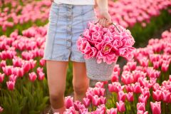 FAM_flower_farm_tulipfield_01