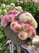 FAM_Flower_Farm_0162-AA-Pastel-mix-hig
