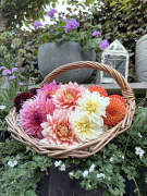 FAM_Flower_Farm_2576-AA-mix-mand-tuin