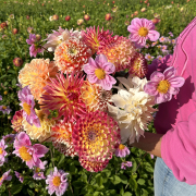 FAM_Flower_Farm_4138-AA-mix-roze-oranje-high