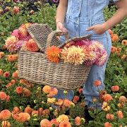 FAM_Flower_Farm_4743-AA-Britt-mand-veld-high-vierkant-v2